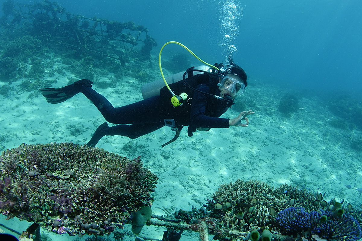 Biorock reefs at Gangga Island, North Sulawesi, Indonesia