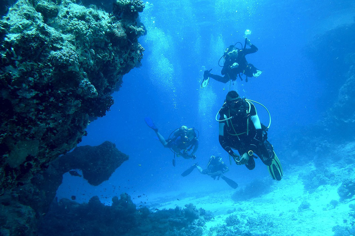 7 Reasons to Become a Scuba Diver