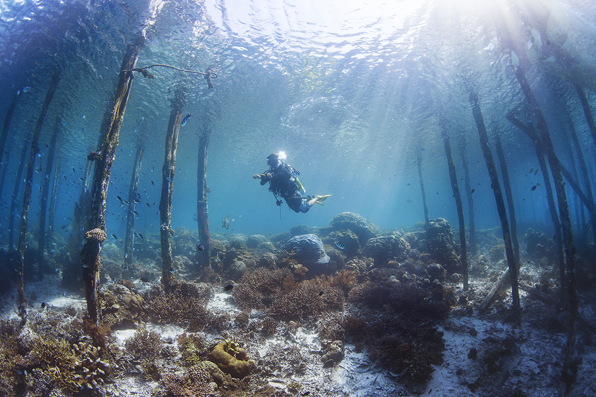 5 Common Misconceptions About Scuba Diving