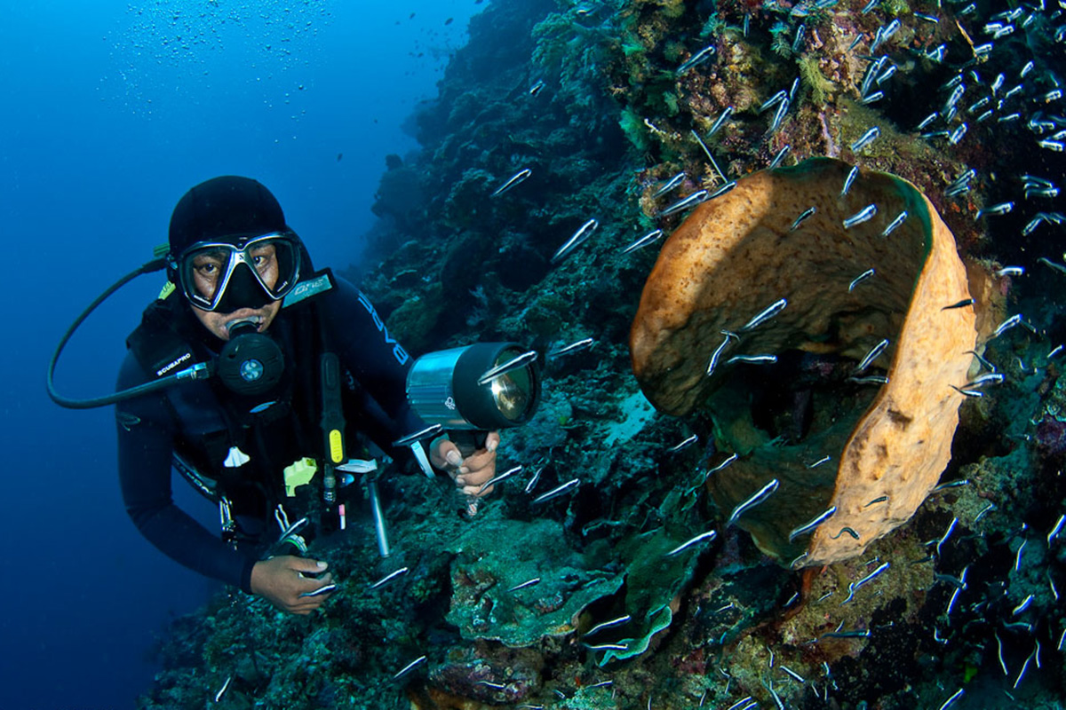 Our Top Tips for Night Diving in North Sulawesi