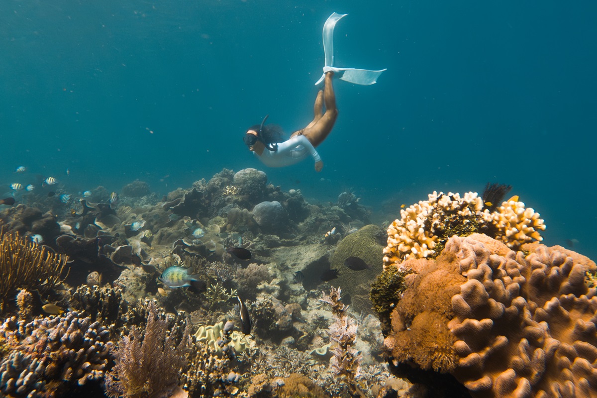 Snorkeling in North Sulawesi