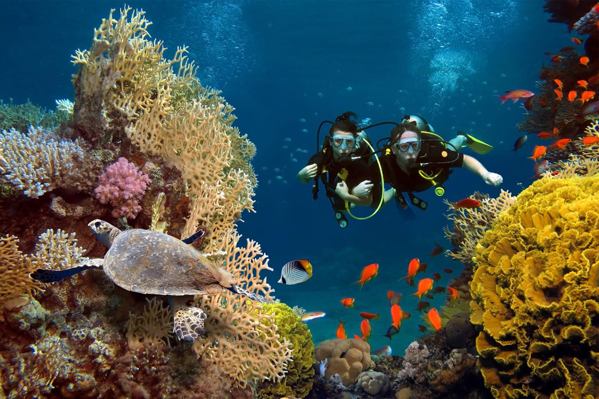10 Incredible Dive Sites in the Bangka Archipelago